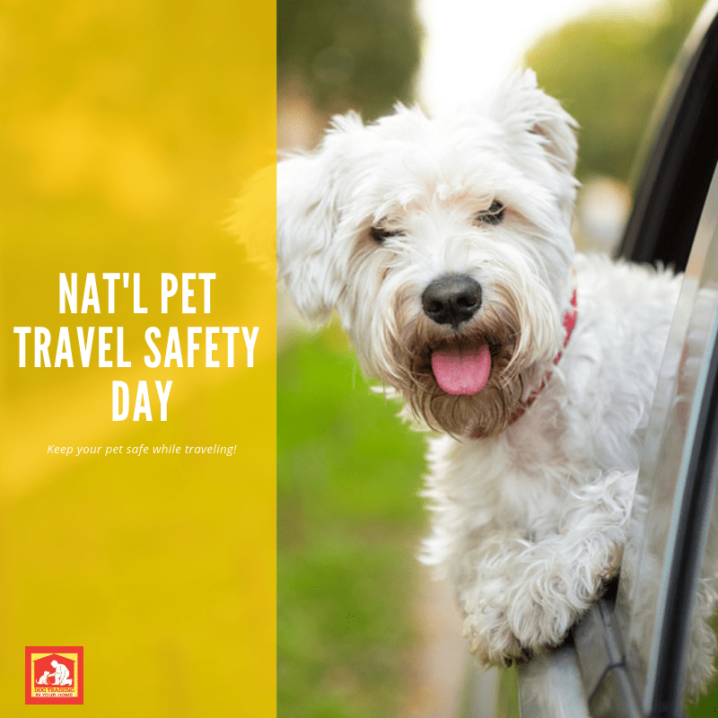 National Pet Travel Safety Day