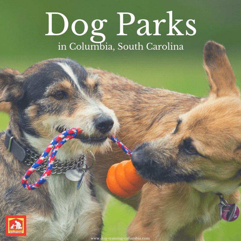 A list of local dog parks in Columbia, SC | Dog Training In Your Home Columbia