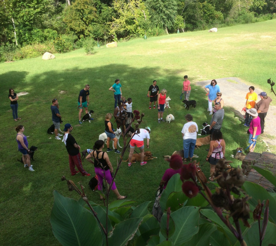 Poison Prevention For Your Dog Dog Training In Your Home Columbia