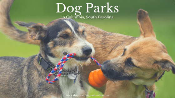 A list of dog parks in Columbia, SC