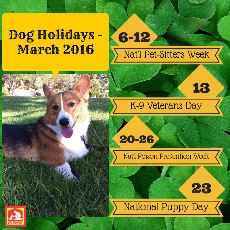 Dog Holidays March 2016