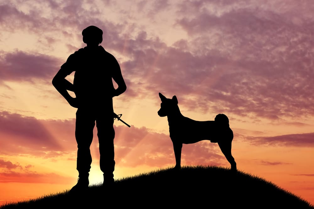 Celebrating the K-9 Veterans on K-9 Veterans Day | Dog Training In Your Home Columbia