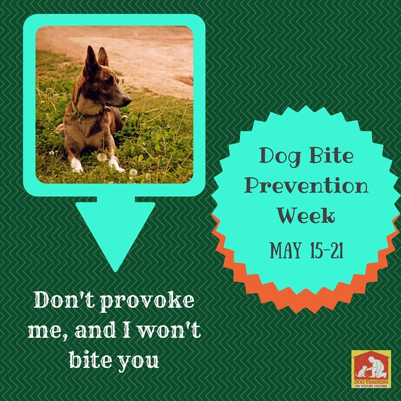 Dog Bite Prevention Week