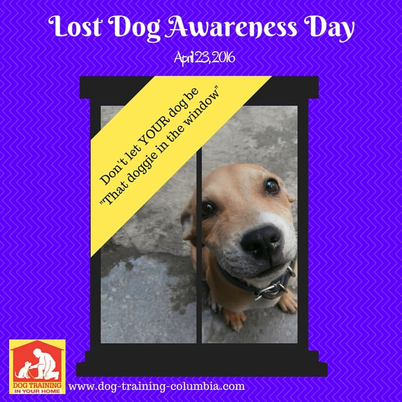 Lost Dog Awareness Day 2016