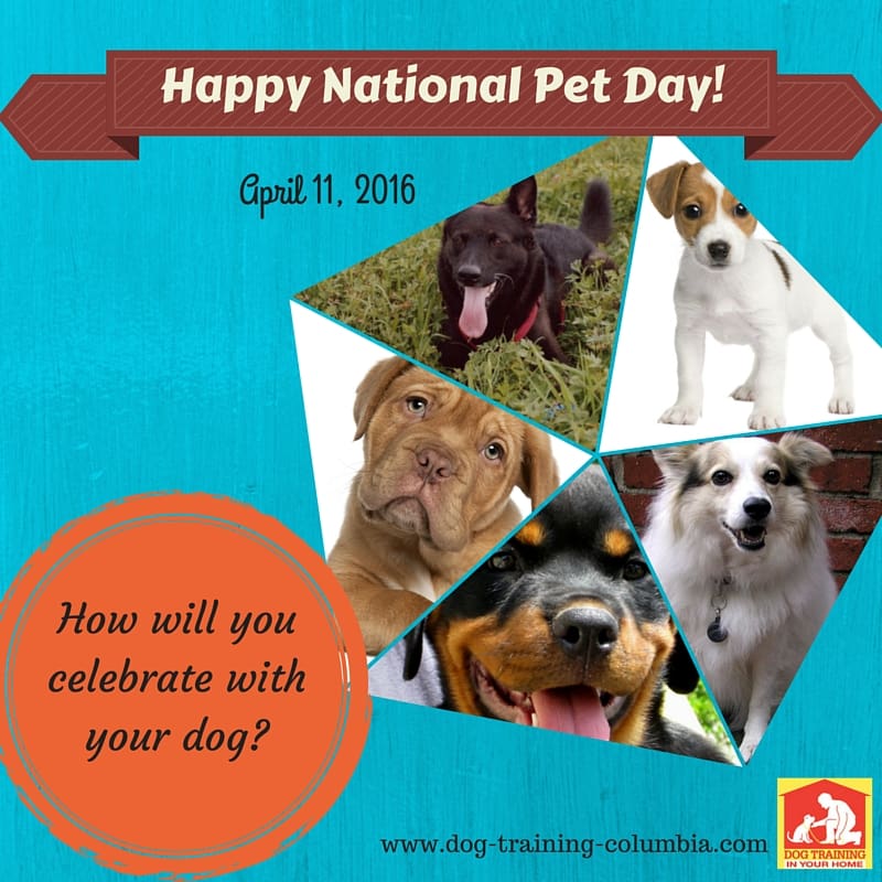 National Pet Day 2016 | Dog Training In Your Home Columbia