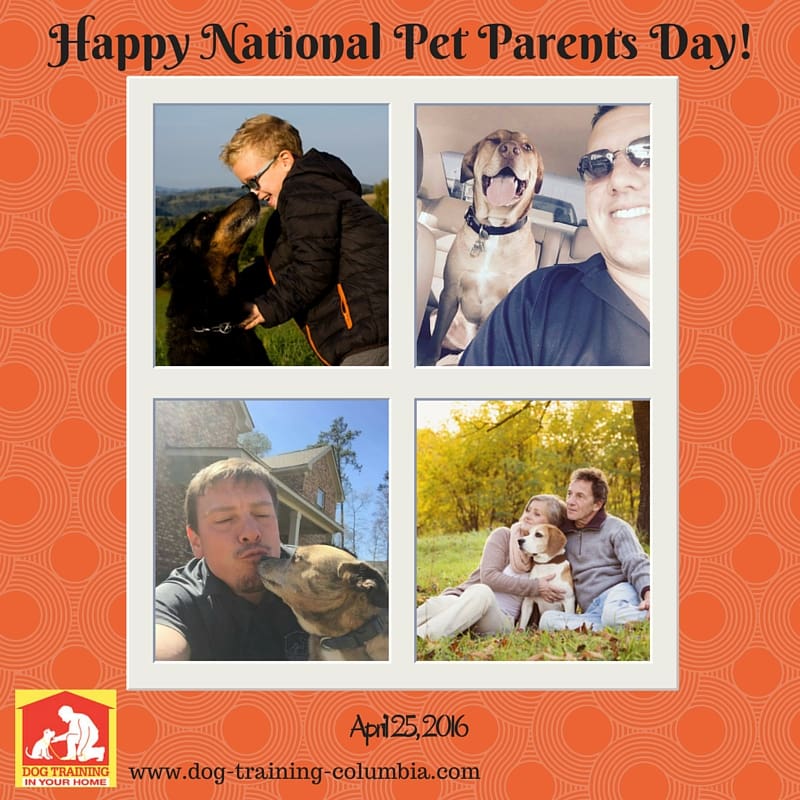 National Pet Parents Day 2016 | Dog Training In Your Home Columbia