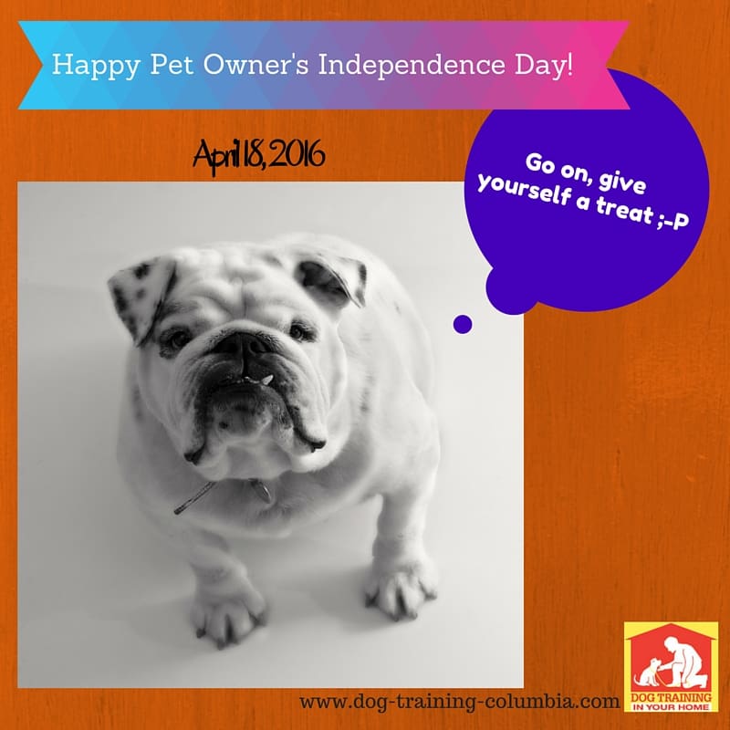 Pet Owner's Independence Day 2016 | Dog Training In Your Home Columbia