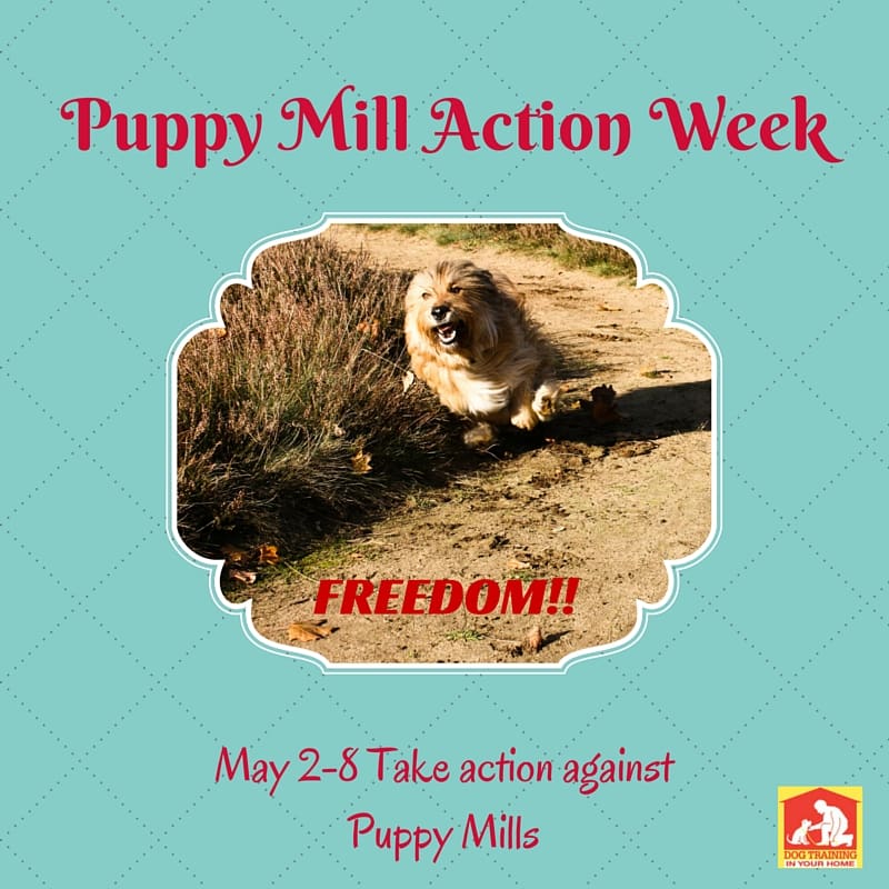 Puppy Mill Action Week 2016