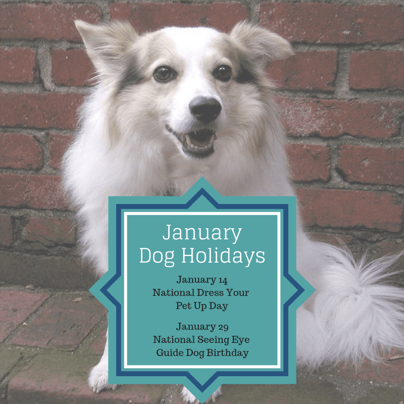 January Dog Holidays 2015 | Dog Training in Your Home Columbia