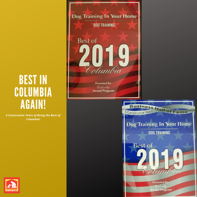 Best in Columbia for Dog Training 2019 | Dog Training In Your Home