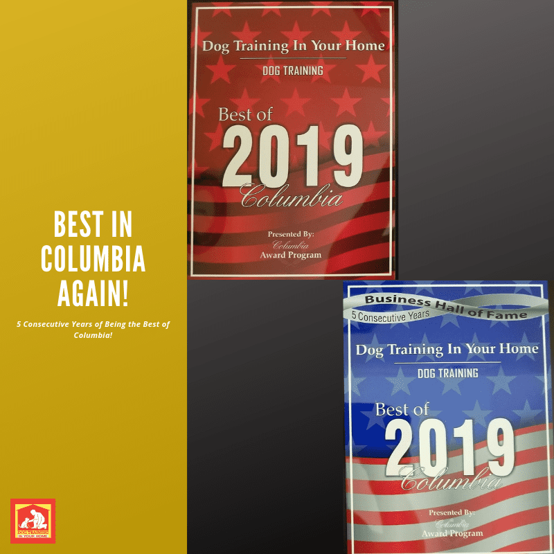 Best in Columbia for Dog Training – 2019