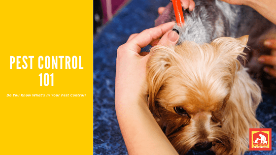 Do You Know What's In Your Dog's Pest Control? | Dog Training In Your Home Columbia