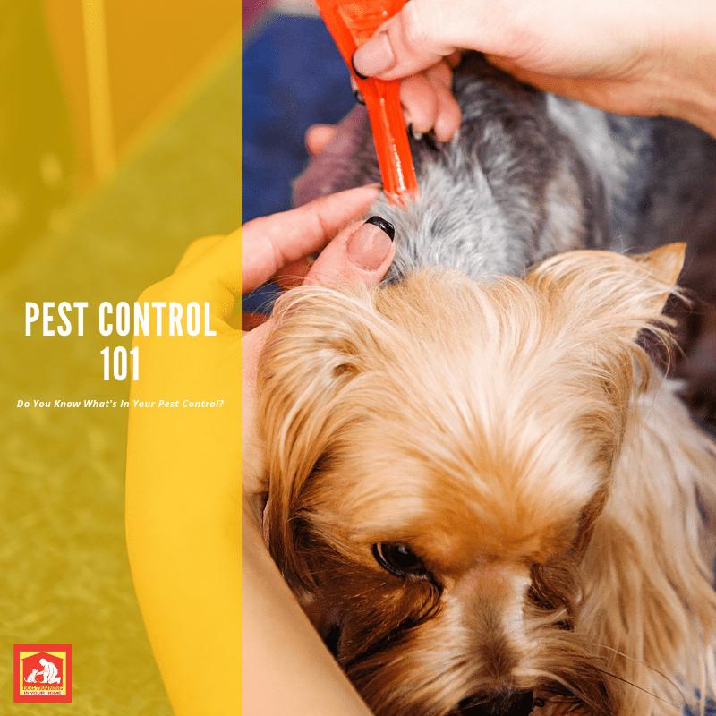 Do You Know What's In Your Dog's Pest Control? | Dog Training In Your Home Columbia