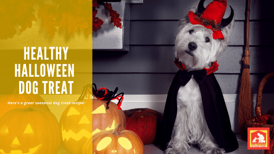 Halloween Dog Treat Recipe | Dog Training In Your Home Columbia