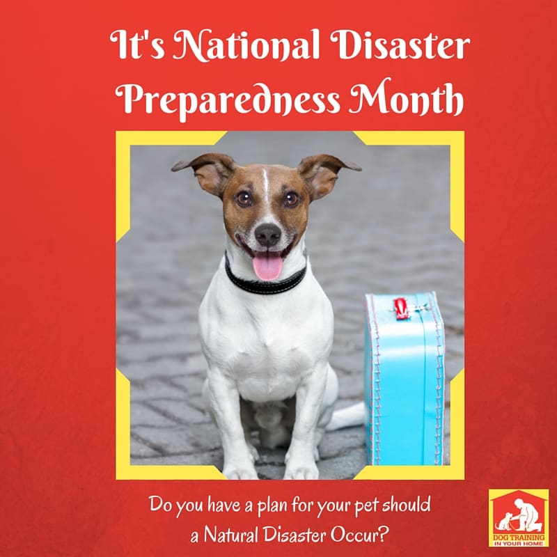 National Disaster Preparedness Month | Dog Training In Your Home Columbia