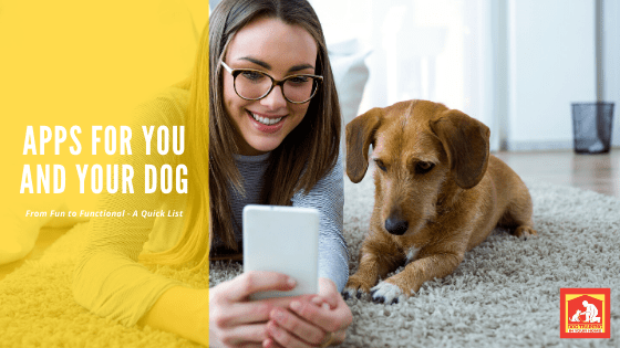 Apps For You And Your Dog | Dog Training In Your Home Columbia