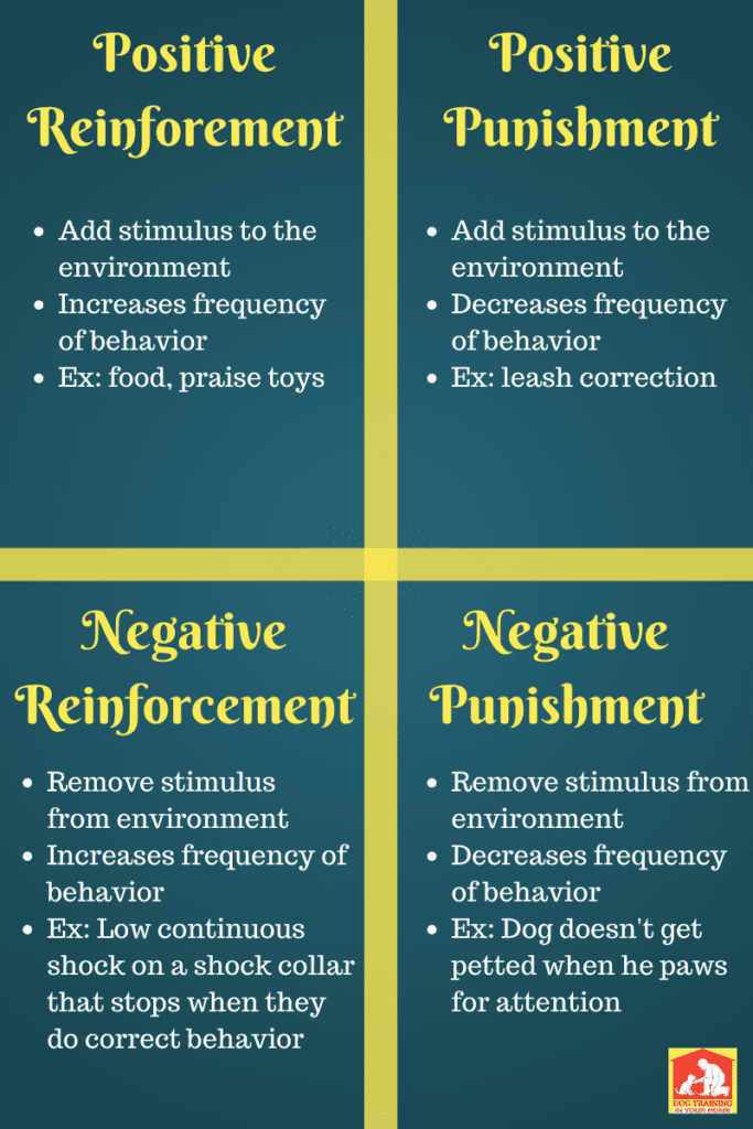Operant Conditioning graphic | Dog Training In Your Home Columbia