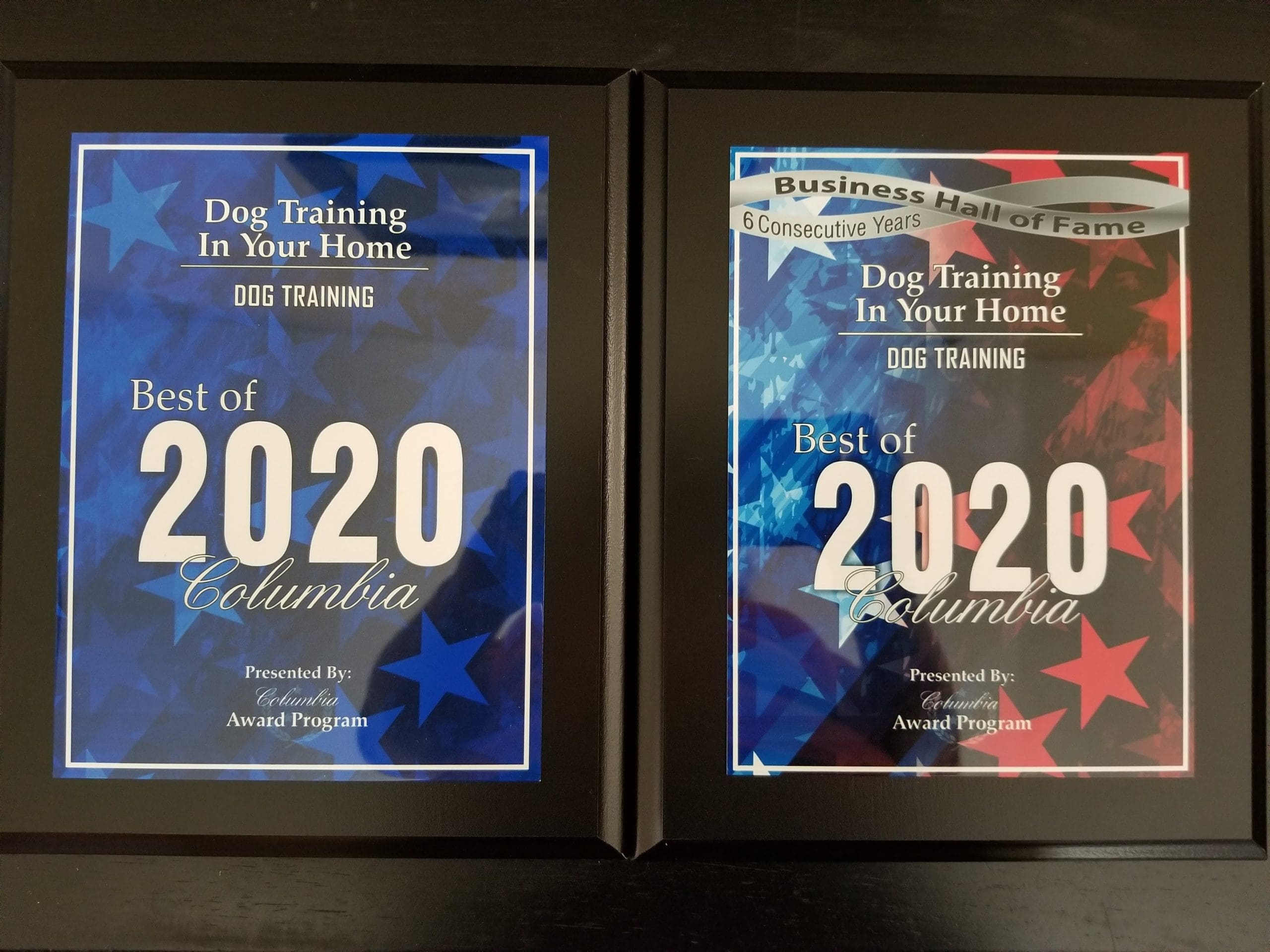 Best of Columbia Award 2020 | Dog Training In Your Home Columbia