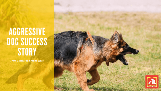 Aggressive Dog Success Story | Dog Training In Your Home Columbia