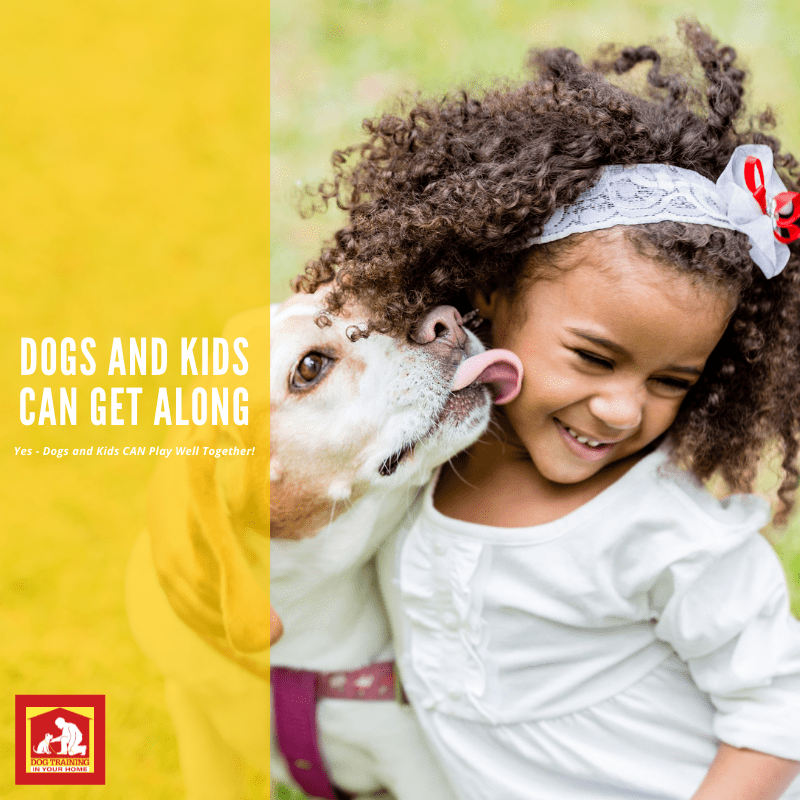 Yes! Your Dog and Kids Can Get Along