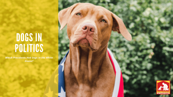 Dogs in Politics | Dog Training In Your Home Columbia