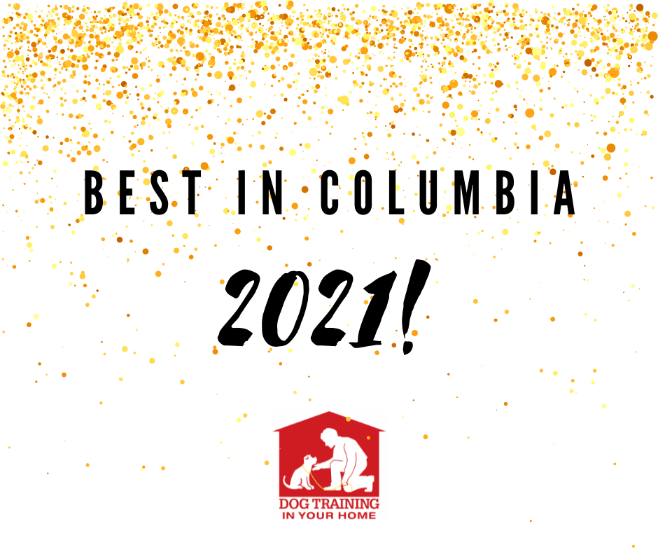 Best in Columbia for Dog Training 2023