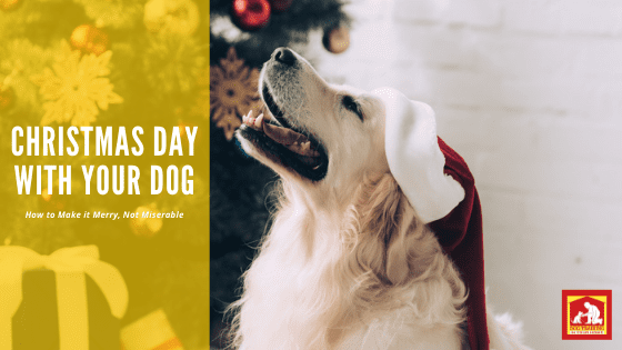 Christmas Day Tips | Dog Training In Your Home Columbia