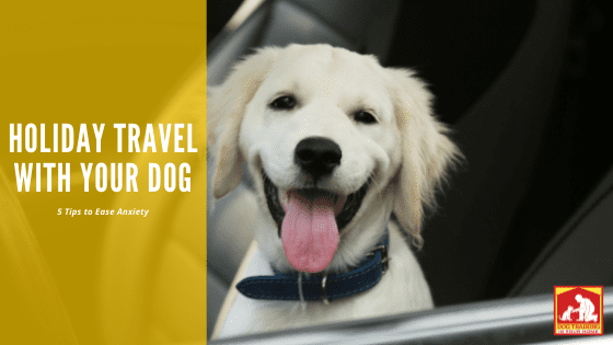 Holiday Travel With Your Dog | Dog Training In Your Home Columbia