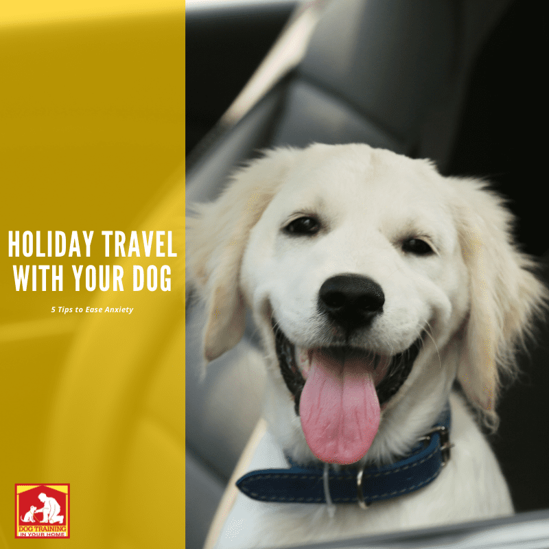 Holiday Travel With Your Dog | Dog Training In Your Home Columbia