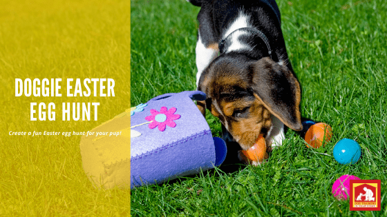 Want a fun way to engage your dog this Easter while your kids hunt for Easter eggs? Why not create a dog Easter egg hunt just for them? | Dog Training In Your Home Columbia