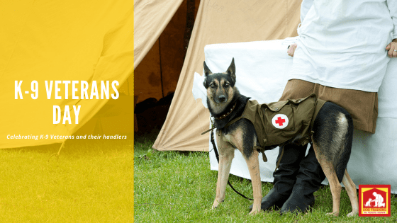 Celebrating the K-9 Veterans on K-9 Veterans Day | Dog Training In Your Home Columbia