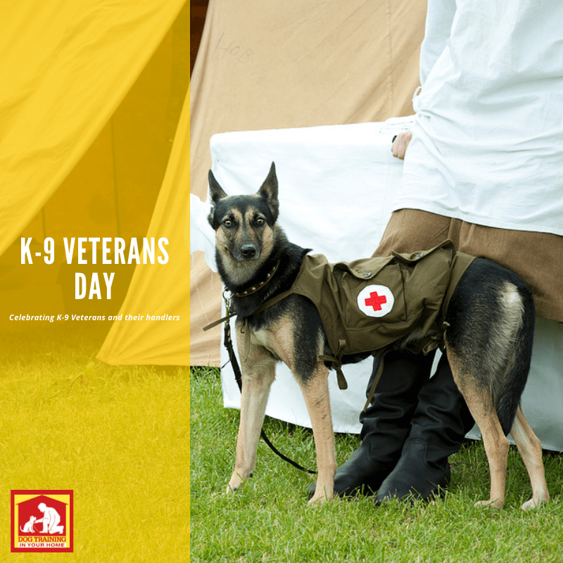 Celebrating the K-9 Veterans on K-9 Veterans Day | Dog Training In Your Home Columbia