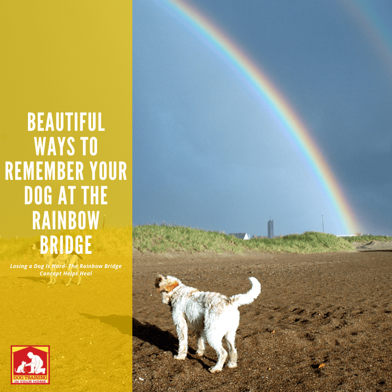 Beautiful Ways to Remember Your Dog At The Rainbow Bridge