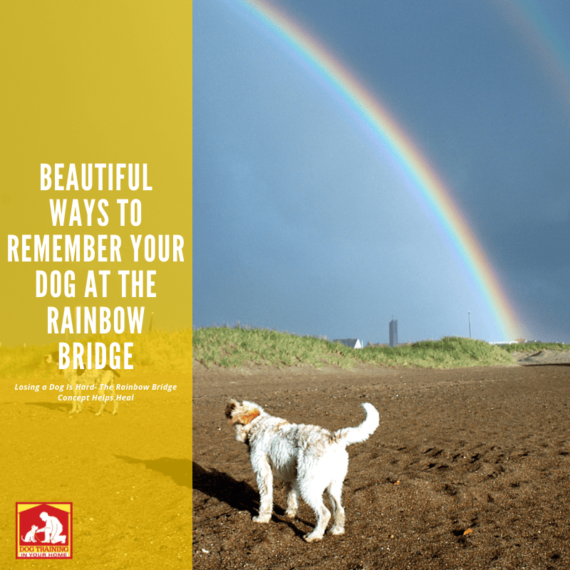 Rainbow Bridge Memorials | Dog Training In Your Home Columbia